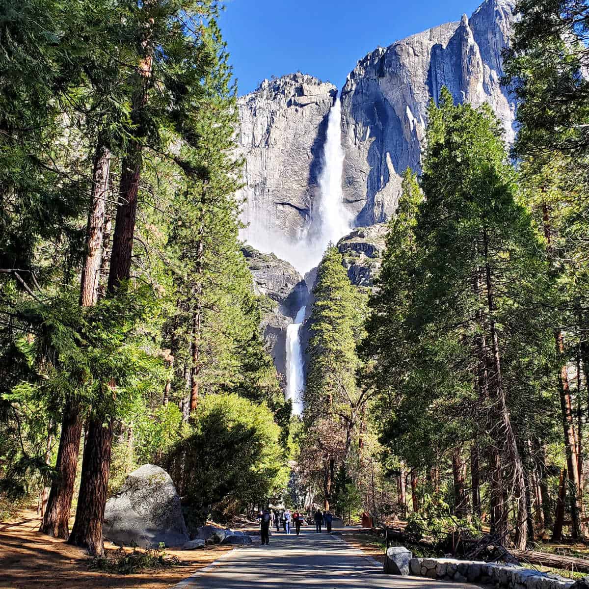 Great Yosemite Park
