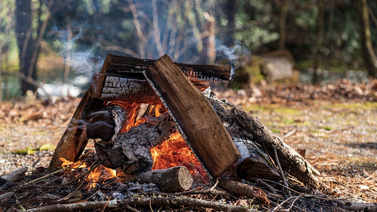 Campfire flames glowing in the dark