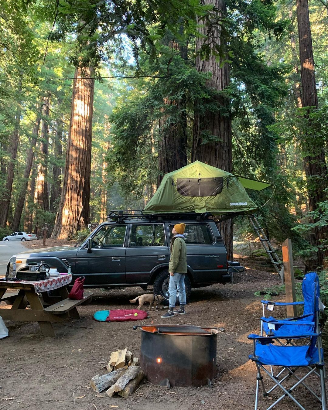 Screen house setup at a campsite
